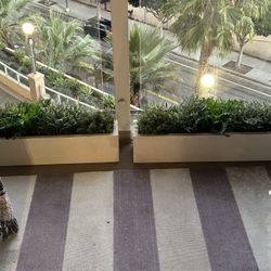 Potted Plastic Plants with Resin Planters