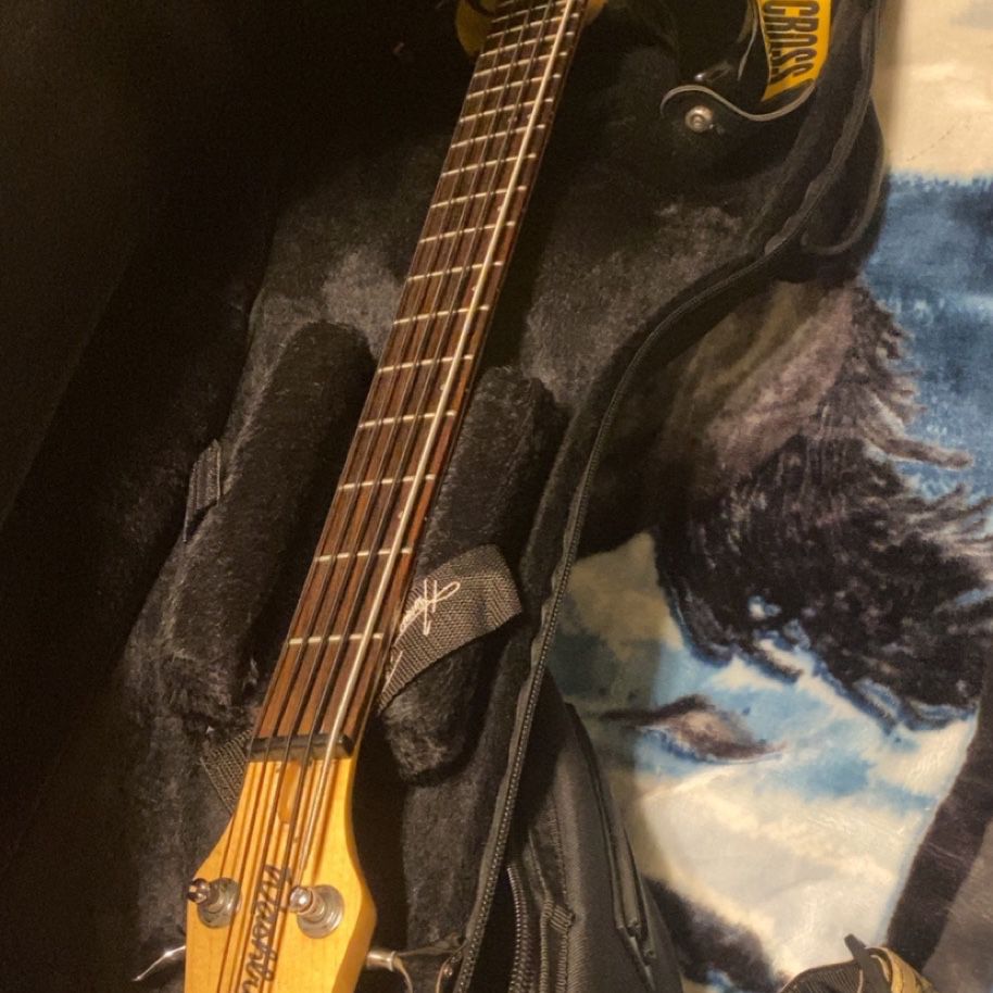 5 string bass washburn 