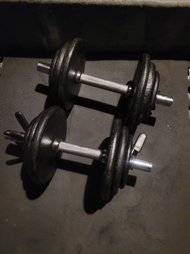 30lbs Dumbells Weights