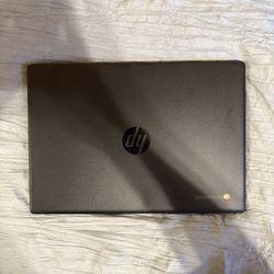 Brand New Chromebook Hp 
