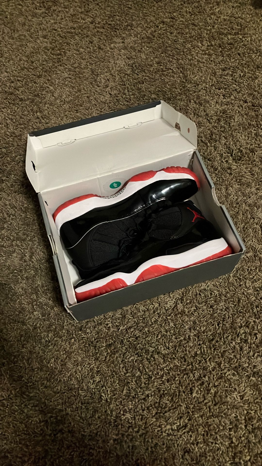 Jordan 11 Playoff Bred 2019