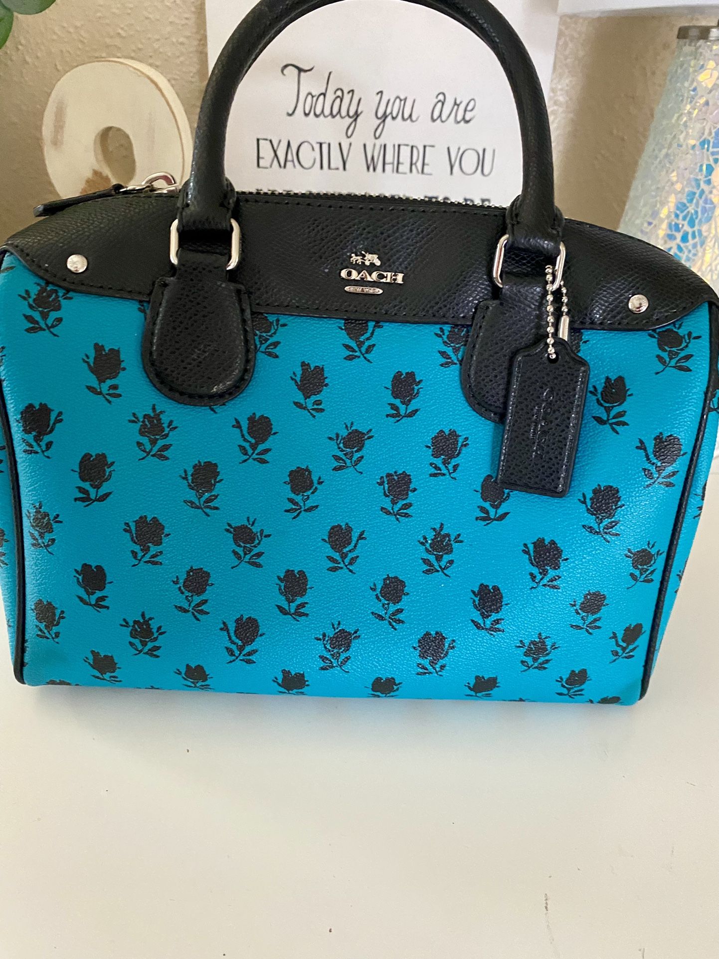 Coach Bennett Mini In Badlands Floral Print blue black