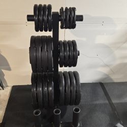 490lbs Rubber Grip Plates With Weight Plate/Barbell Holder