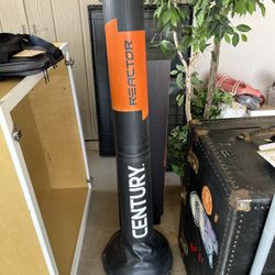 Martial Arts Punch/Kick Bag
