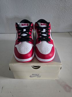 Nike SB Dunk Low Pro Sneakers Size 11