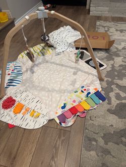 Baby Activity Play Gym with Mat