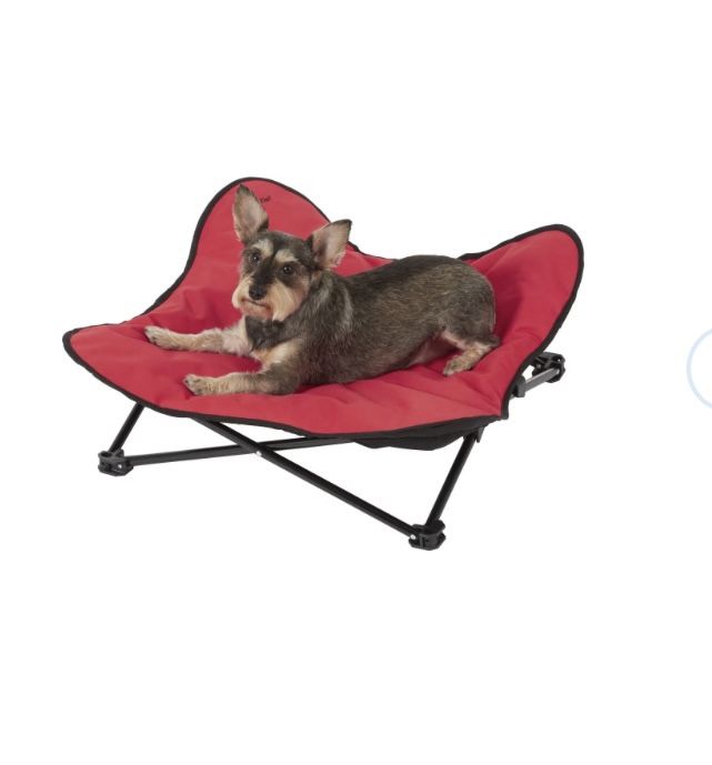 Coleman elevated dog bed