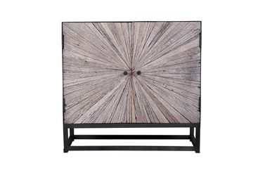 Astral Plains Reclaimed Grey 2 Door Accent Cabinet