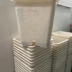 3 Gallon Pot For Plants 