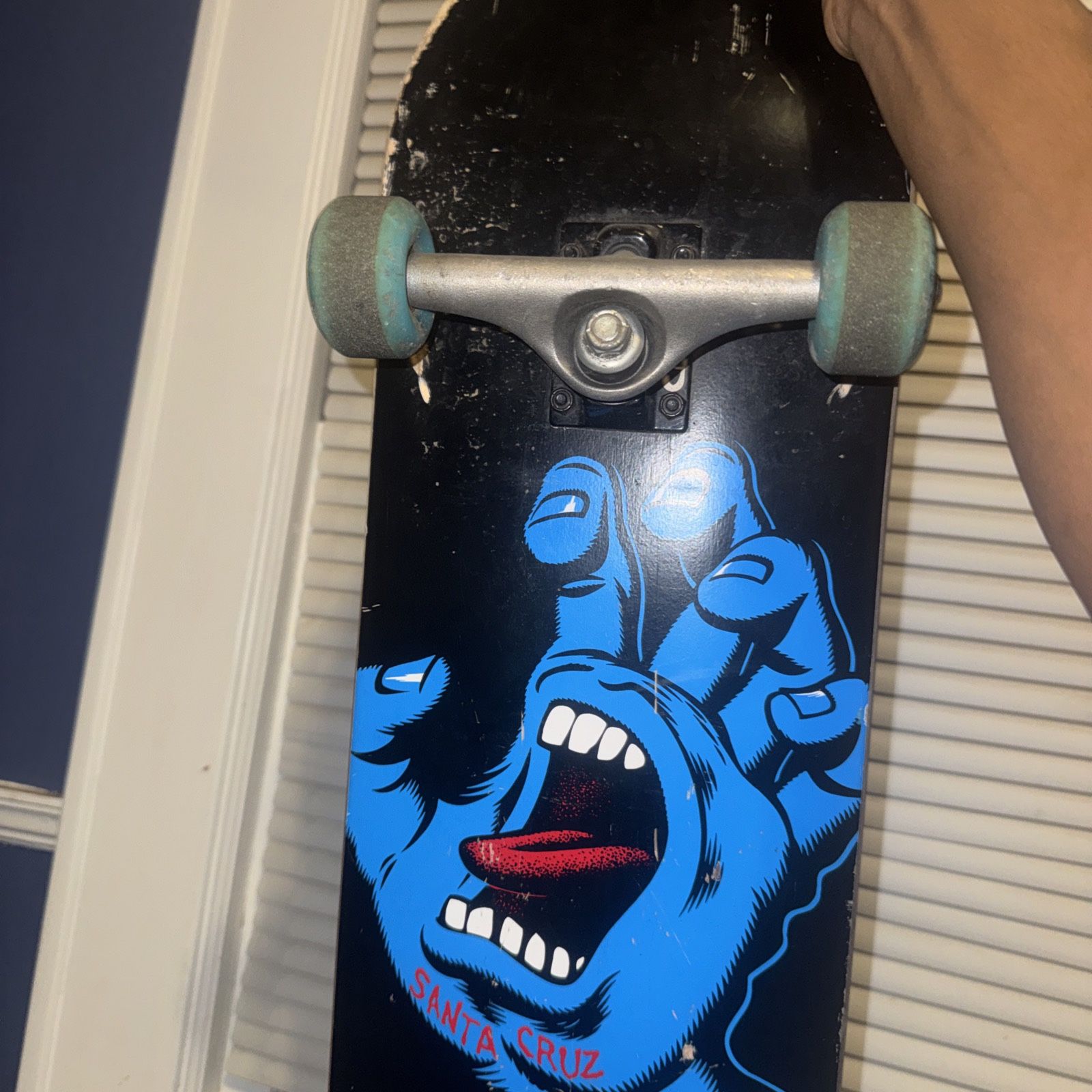 Santa Cruz Skateboard