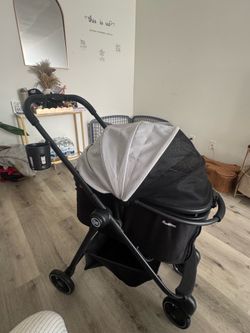 Doggy stroller