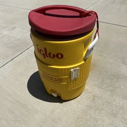 Igloo Water Jug