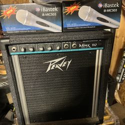 Speaker And Microphones 