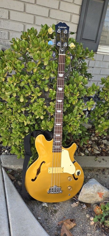 Jack Casady Bass Korea