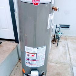 Boiler De Gas 40 Galones 