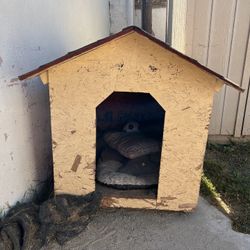 Dog House