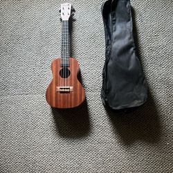 Ukulele with Case