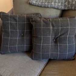 Indoor Outdoor Grey pinstripe Pillows (Set)