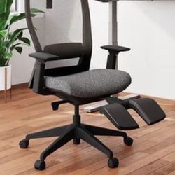 Ergonomic Office Chair