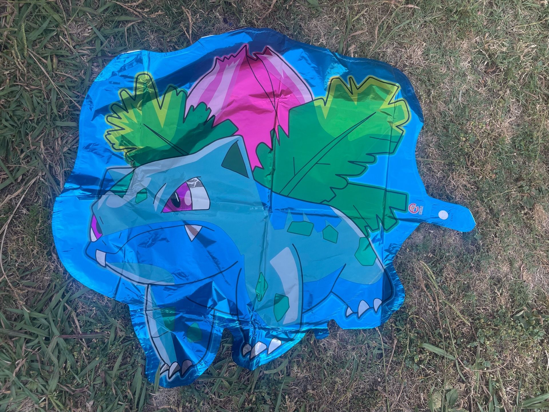 Balloon ๐