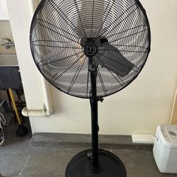 Hunter Outdoor Fan