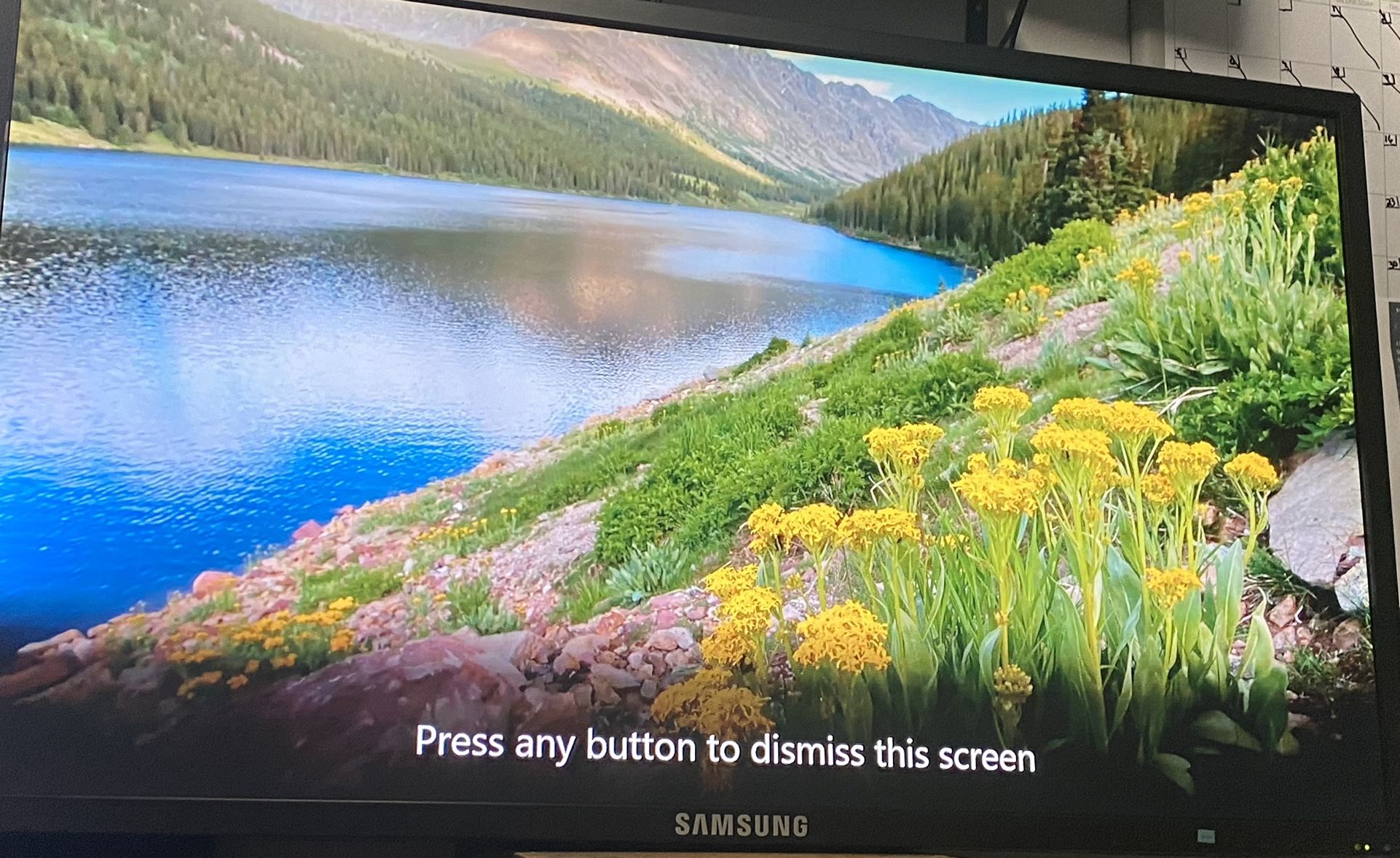 Samsung 46 Inch Commercial Color Display 460dx-2