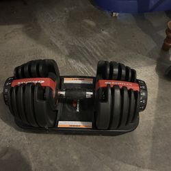 Bowflex Adjustable Dumbbells 