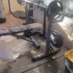 Weight Bench And Weights 