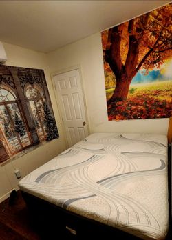 Queen size bed like new