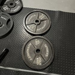 2 X 45 Pound LBS Plates Weights Sports Authority