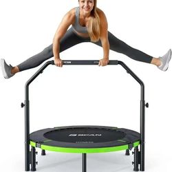 BCAN 40"Foldable Mini Trampoline, Rebounder Trampoline for Adults, U/T Adjustable Foam Handle,