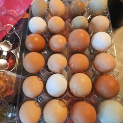 Sale On Eggs 10/26 - 10/29