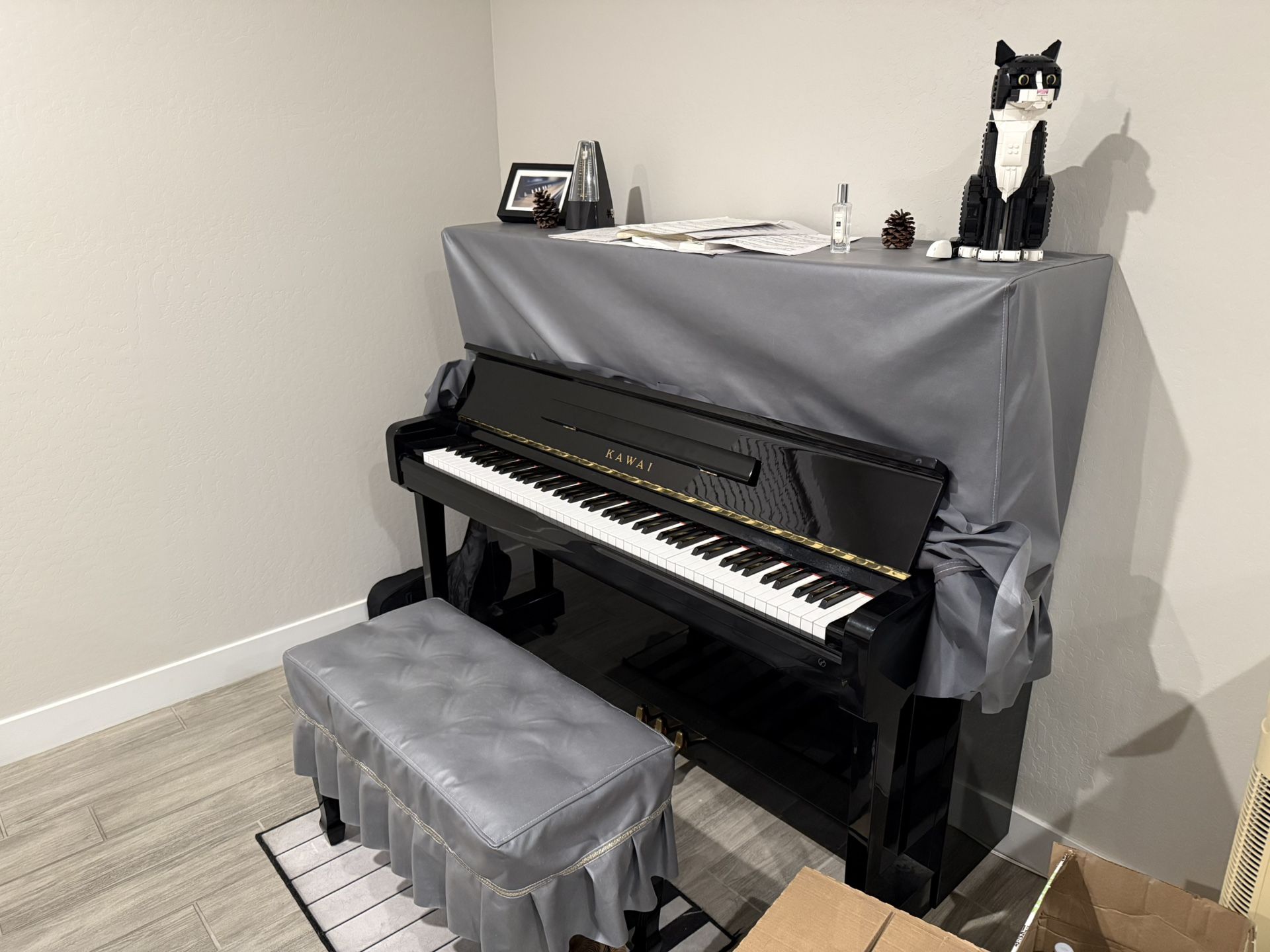 Kawaii V grand piano