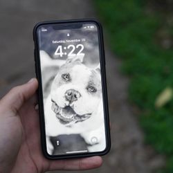 iPhone 11 Pro Max (xfinity Mobile Carrier)