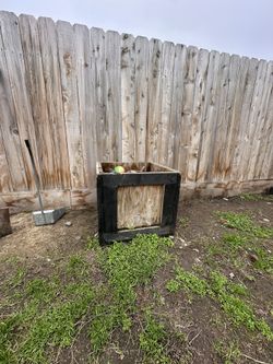 Planter Boxes & Cactus