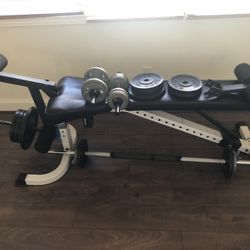 Weights& bench