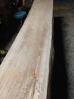 Maple Wood Slabs