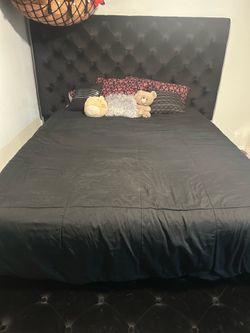 Black Velvet Bed frame