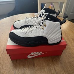 2013 Jordan 12 Taxi’s 