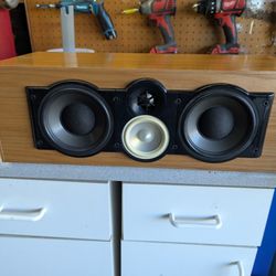 Paradigm Center Channel Home Theater Speaker
