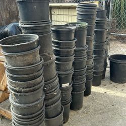 Pots $20 All