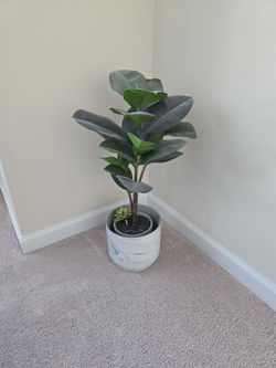 Free Faux Plant