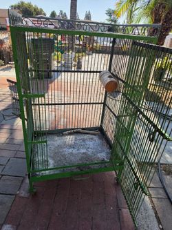Big bird cage