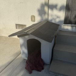 Small Dog House