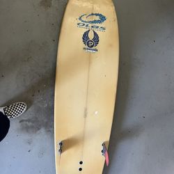 Olas Fish Twin Fin Surf Board