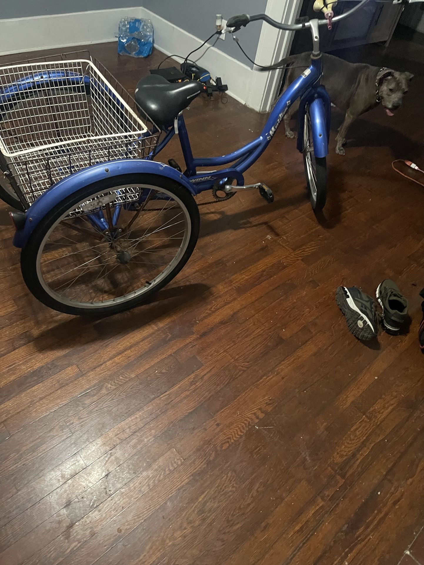 Antique Bike!