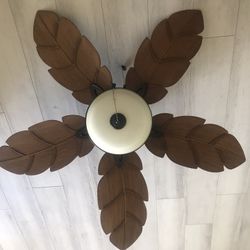 Ceiling Fan