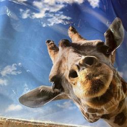New XL Giraffe Mouse Pad, Gaming Pad. Really Cute! 