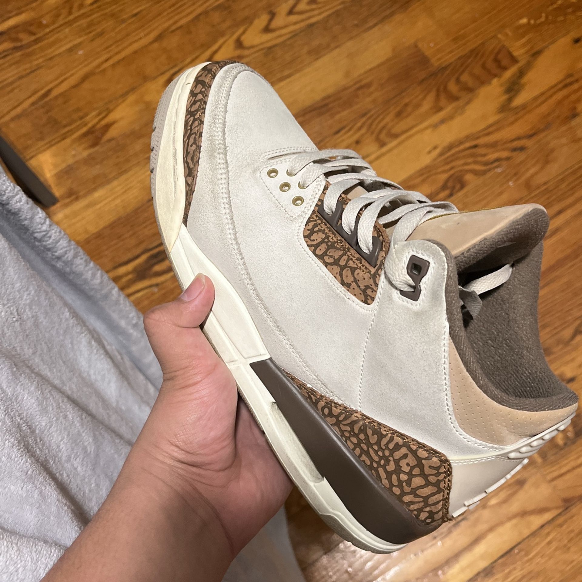 Jordan 3 Size 10