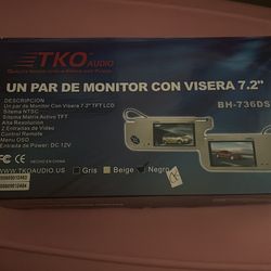 Sun Visor Monitors